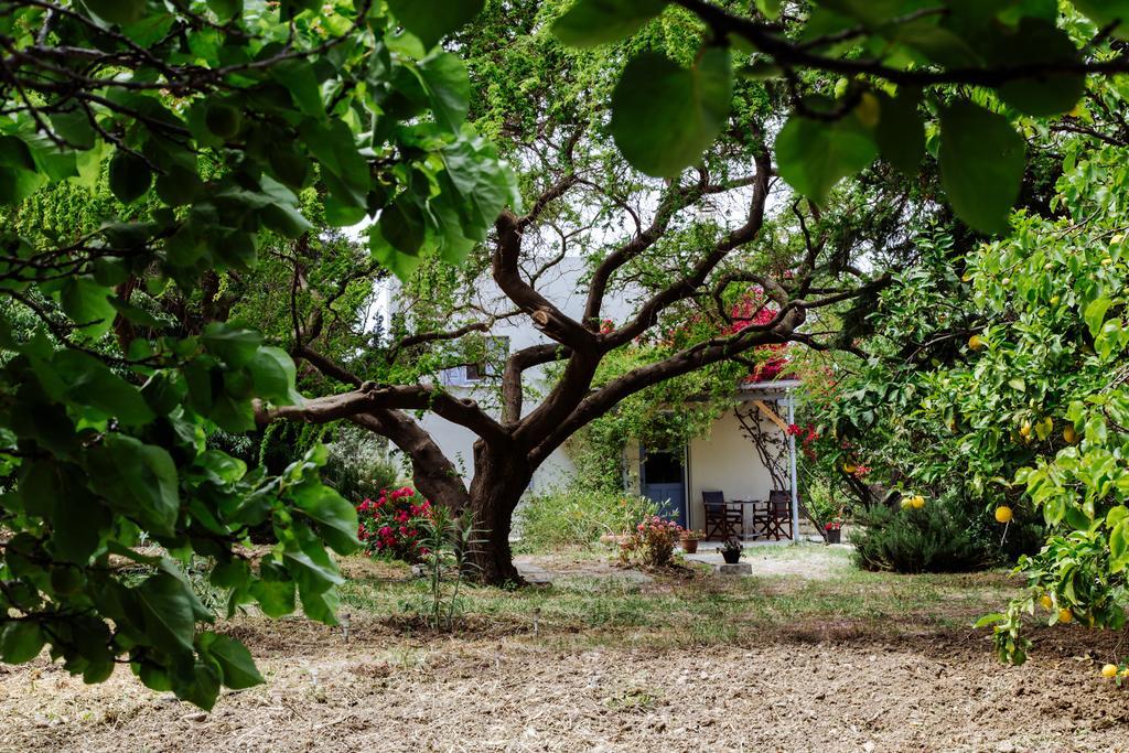 Margouno Eco Cottage Engaraí Extérieur photo